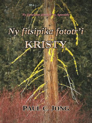 cover image of Ny fitsipika fototr'i KRISTY--Ny fanekem-pinoan'ny Apostoly